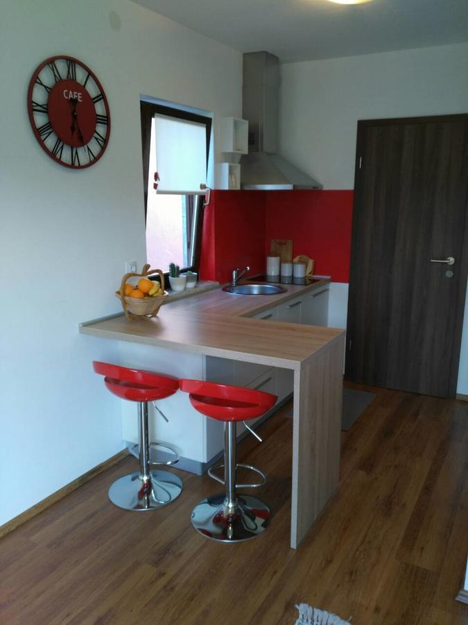 Apartment Bozac Ровинь Экстерьер фото